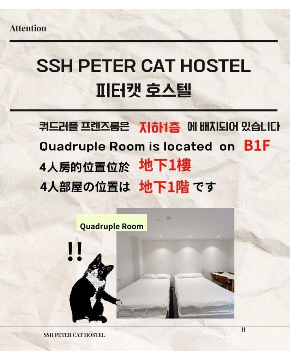 Ssh Ikseon Peter Cat Hostel Σεούλ Εξωτερικό φωτογραφία